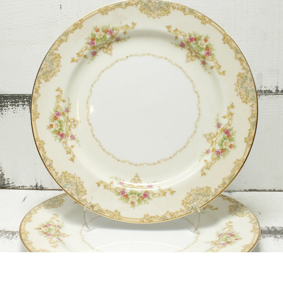 Noritake Nanarose 682 Dinner Plates Set of 2 Discontinued