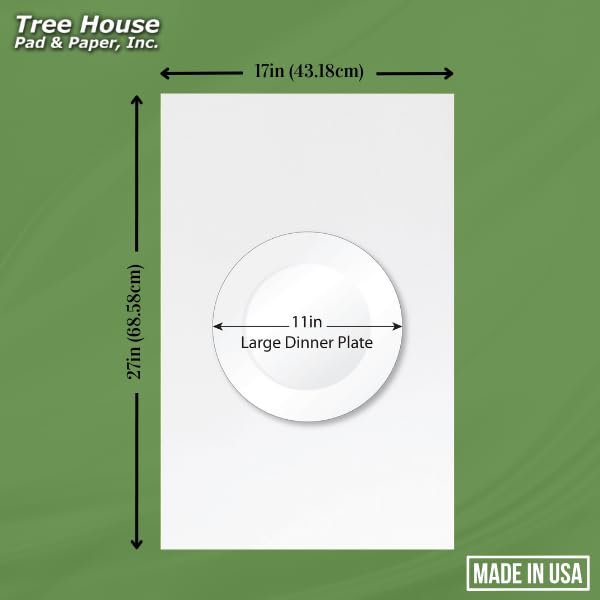 Packing Paper Sheets for Moving - 720 Sheets of Newsprint Paper - Must Have in Your Moving Supplies - 27" x 17" - Made in USA