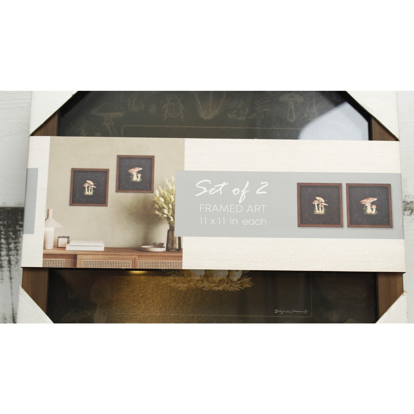 Contemporary Mushroom Pictures NIB Set of 2