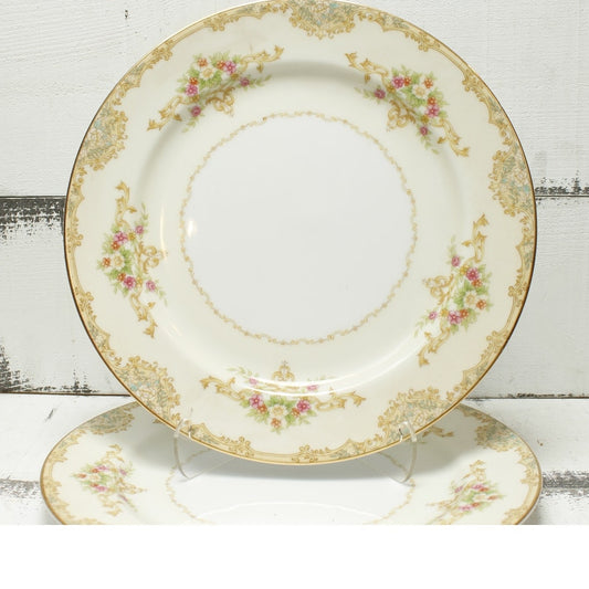 Noritake Nanarose 682 Dinner Plates Set of 2 Discontinued